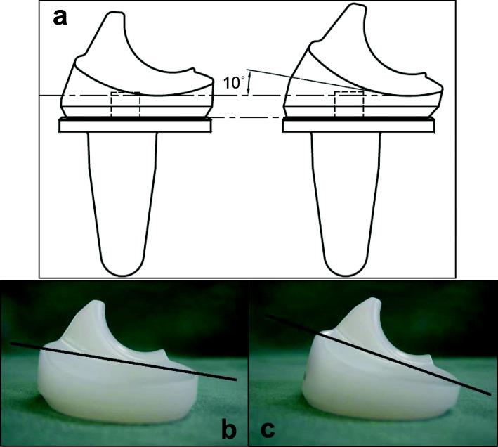 https://cdn.ncbi.nlm.nih.gov/pmc/blobs/caab/8796609/2c2250237eeb/42836_2021_85_Fig1_HTML.jpg