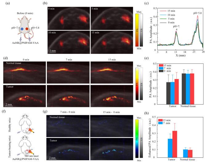 https://cdn.ncbi.nlm.nih.gov/pmc/blobs/caac/11163807/2beb26fccad8/12951_2024_2617_Fig5_HTML.jpg
