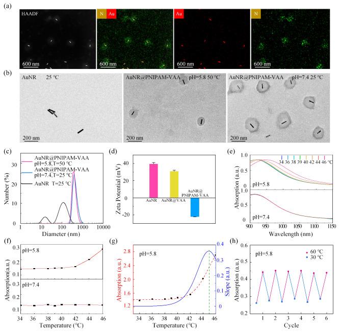 https://cdn.ncbi.nlm.nih.gov/pmc/blobs/caac/11163807/4952ac3df013/12951_2024_2617_Fig2_HTML.jpg