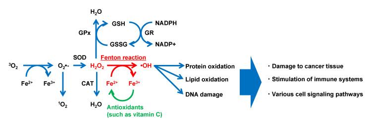https://cdn.ncbi.nlm.nih.gov/pmc/blobs/caad/9457891/04420296c9a0/molecules-27-05451-g003.jpg