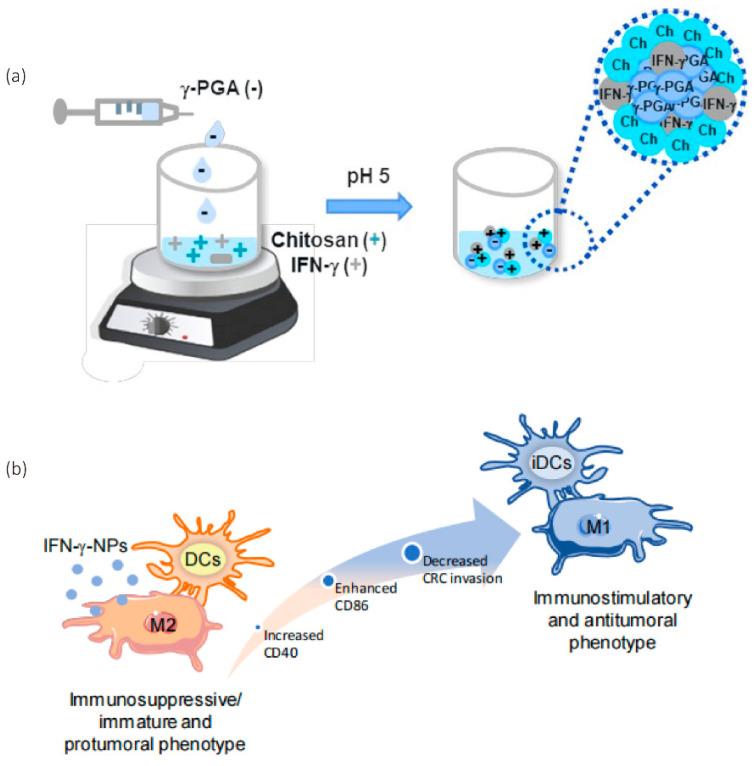 https://cdn.ncbi.nlm.nih.gov/pmc/blobs/caad/9788370/8d43c0c36f38/pharmaceutics-14-02606-g001.jpg