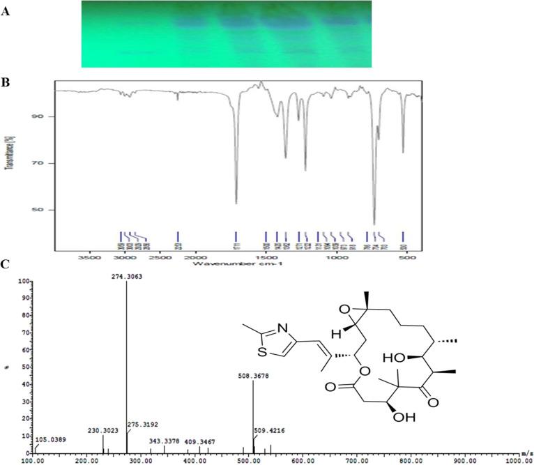 https://cdn.ncbi.nlm.nih.gov/pmc/blobs/caae/12199498/5dd26f83c372/12866_2025_4086_Fig1_HTML.jpg