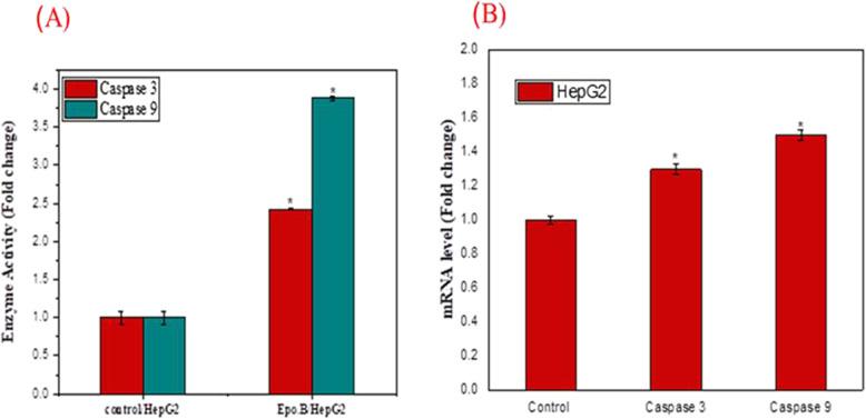 https://cdn.ncbi.nlm.nih.gov/pmc/blobs/caae/12199498/a39eacd2efe1/12866_2025_4086_Fig6_HTML.jpg