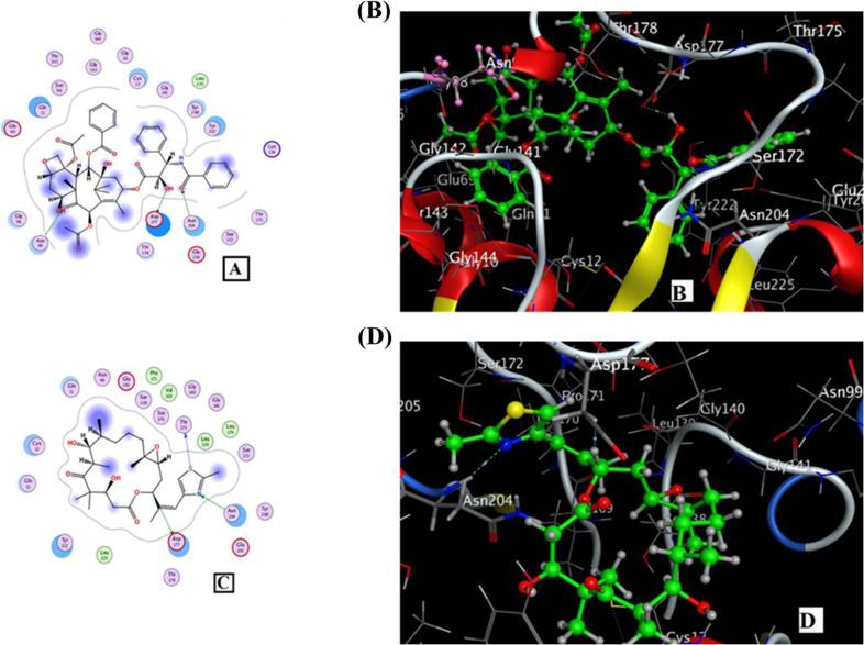 https://cdn.ncbi.nlm.nih.gov/pmc/blobs/caae/12199498/be2a5998f171/12866_2025_4086_Fig8_HTML.jpg