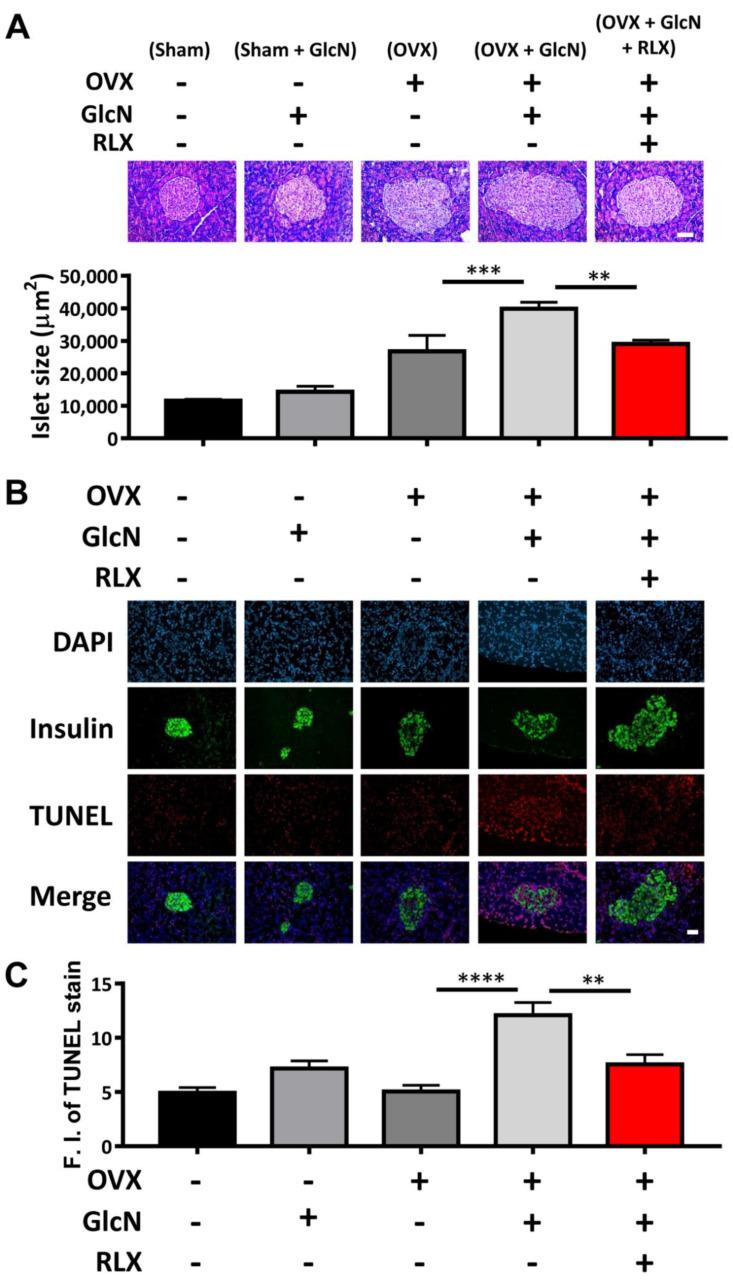 https://cdn.ncbi.nlm.nih.gov/pmc/blobs/caae/8466068/7ab0d61e7227/biomedicines-09-01114-g003.jpg