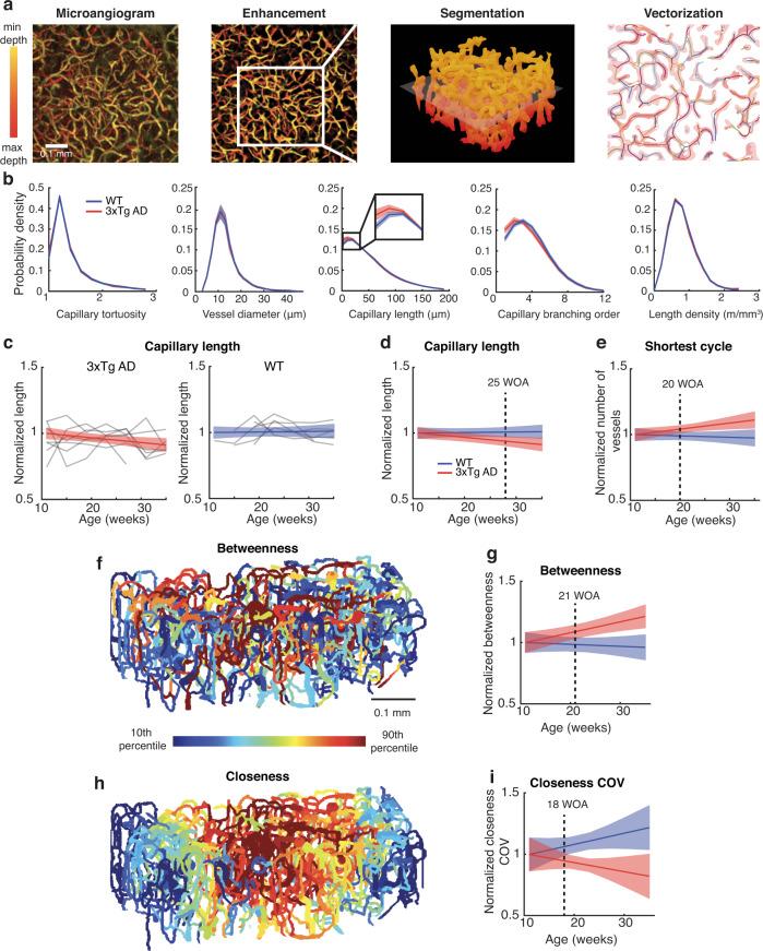 https://cdn.ncbi.nlm.nih.gov/pmc/blobs/caaf/10205707/897d0b92464d/41467_2023_38609_Fig3_HTML.jpg