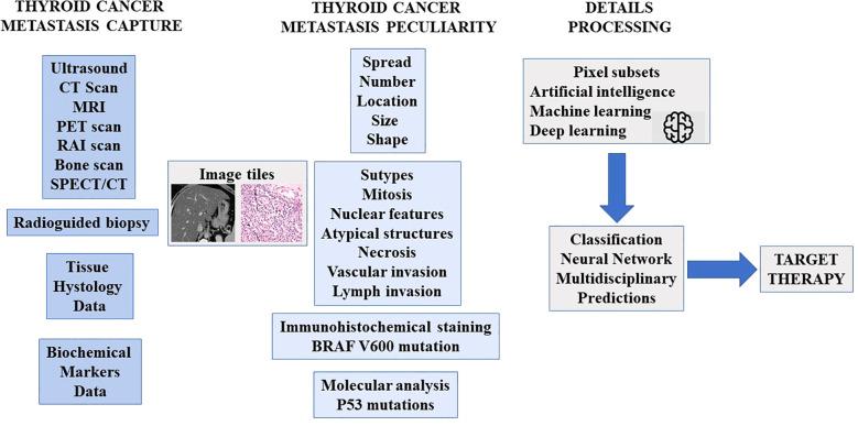 https://cdn.ncbi.nlm.nih.gov/pmc/blobs/caaf/12289475/9a719f6cb334/fendo-16-1445855-g003.jpg