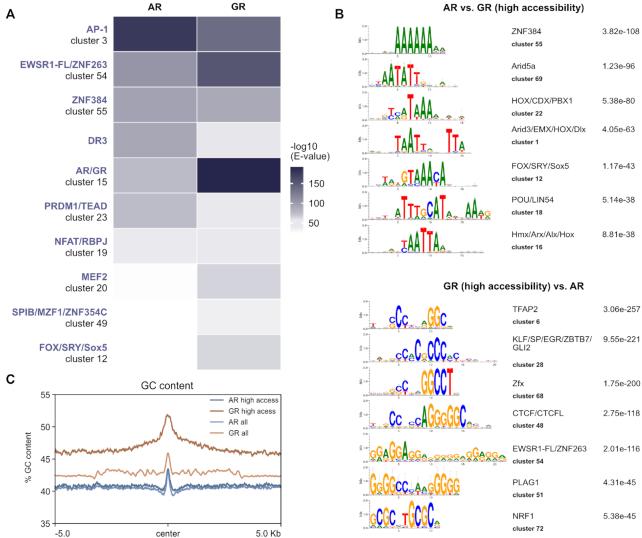 https://cdn.ncbi.nlm.nih.gov/pmc/blobs/cab0/8053126/ff717dc51aec/gkab185fig4.jpg