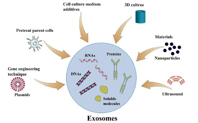 https://cdn.ncbi.nlm.nih.gov/pmc/blobs/cab4/10514529/8ceabf29527f/CN-21-1964_F3.jpg