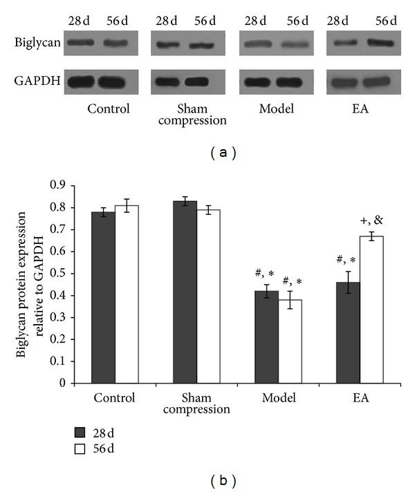 https://cdn.ncbi.nlm.nih.gov/pmc/blobs/cab4/4058458/4c4fada19eb2/ECAM2014-731395.005.jpg