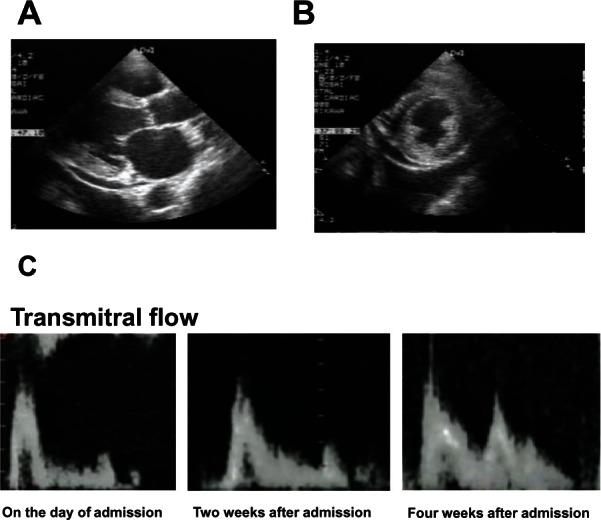 https://cdn.ncbi.nlm.nih.gov/pmc/blobs/cab5/3658249/761eca9f0325/imcrj-5-019Fig3.jpg