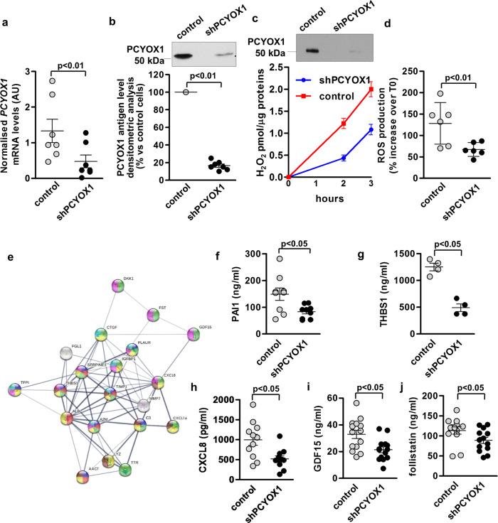 https://cdn.ncbi.nlm.nih.gov/pmc/blobs/cab5/8455616/3c8db1ab7754/42003_2021_2630_Fig2_HTML.jpg