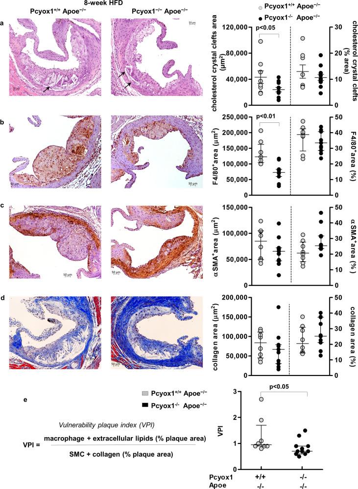 https://cdn.ncbi.nlm.nih.gov/pmc/blobs/cab5/8455616/63565b206f9d/42003_2021_2630_Fig5_HTML.jpg