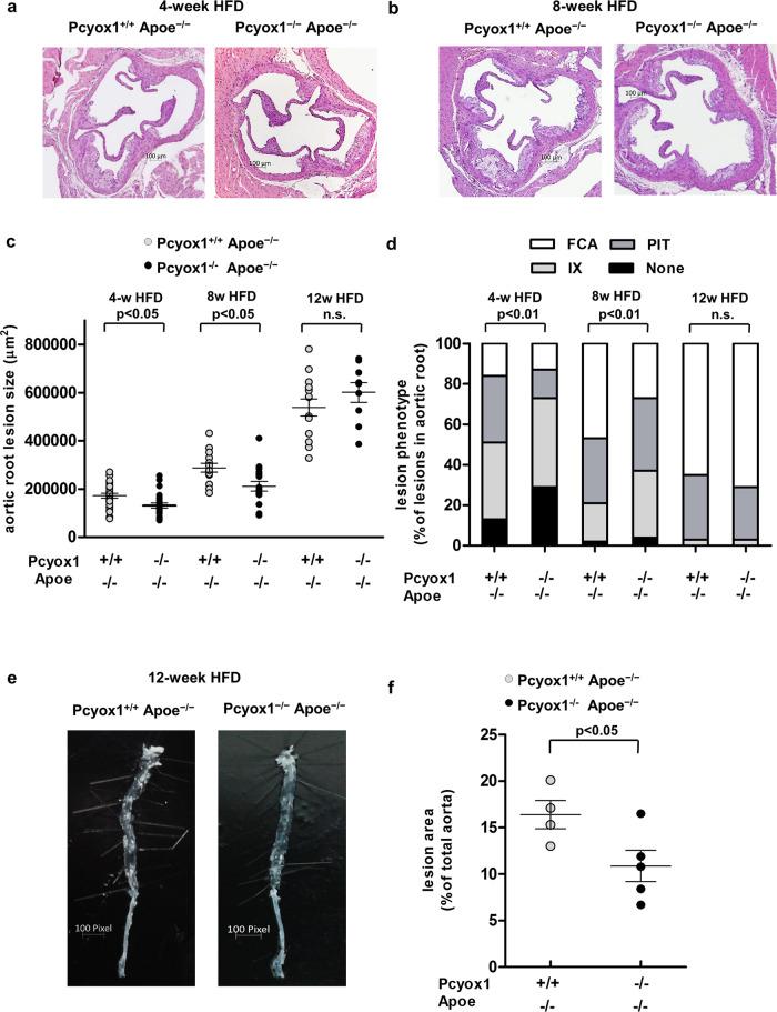 https://cdn.ncbi.nlm.nih.gov/pmc/blobs/cab5/8455616/cb06edd5f567/42003_2021_2630_Fig4_HTML.jpg