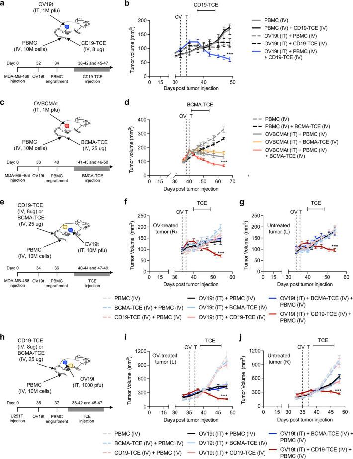 https://cdn.ncbi.nlm.nih.gov/pmc/blobs/cab7/12352182/5bbd8ce9ae10/jitc-13-8-g004.jpg