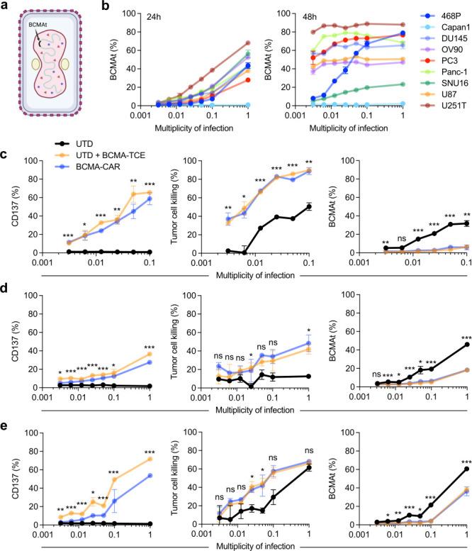 https://cdn.ncbi.nlm.nih.gov/pmc/blobs/cab7/12352182/a007a19fd8b9/jitc-13-8-g002.jpg