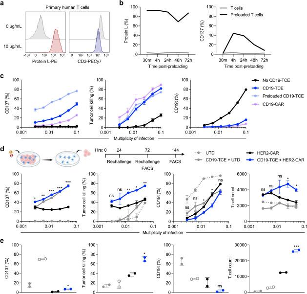 https://cdn.ncbi.nlm.nih.gov/pmc/blobs/cab7/12352182/bcf0b2eb4186/jitc-13-8-g005.jpg