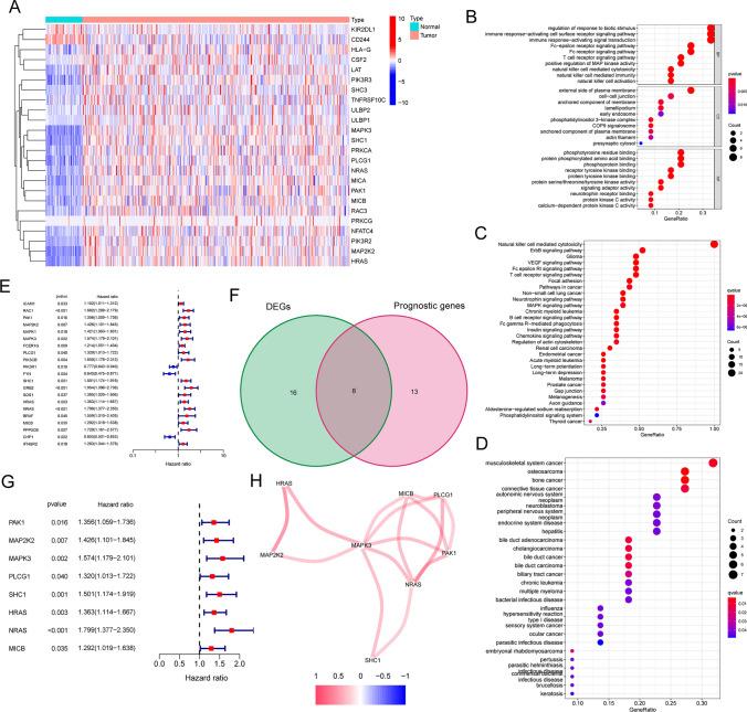 https://cdn.ncbi.nlm.nih.gov/pmc/blobs/cab8/12086133/b60e35af6100/12672_2025_2200_Fig1_HTML.jpg