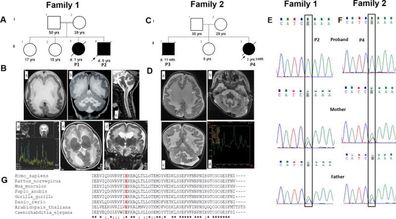https://cdn.ncbi.nlm.nih.gov/pmc/blobs/cab8/5484744/7797819fdcea/nihms856833f1.jpg