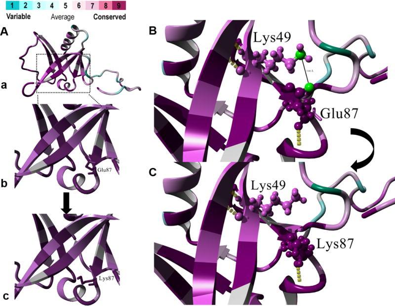 https://cdn.ncbi.nlm.nih.gov/pmc/blobs/cab8/5484744/e0c6c43a3063/nihms856833f2.jpg