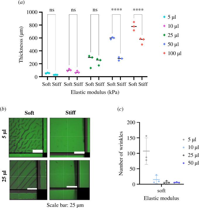 https://cdn.ncbi.nlm.nih.gov/pmc/blobs/cabc/11444768/66d8e1218b9c/rsif.2024.0485.f001.jpg