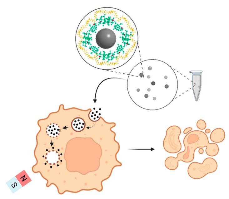 https://cdn.ncbi.nlm.nih.gov/pmc/blobs/cabe/9785553/7890ca623ad0/polymers-14-05563-g013.jpg