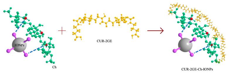 https://cdn.ncbi.nlm.nih.gov/pmc/blobs/cabe/9785553/83c8ce7bc55e/polymers-14-05563-g003.jpg