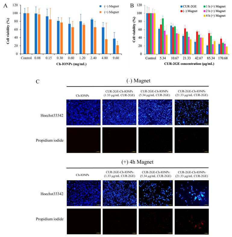 https://cdn.ncbi.nlm.nih.gov/pmc/blobs/cabe/9785553/ba963d7123f3/polymers-14-05563-g011.jpg