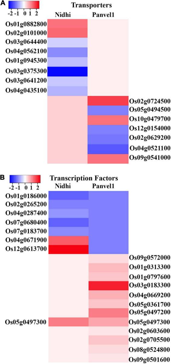 https://cdn.ncbi.nlm.nih.gov/pmc/blobs/cabf/9237547/0a9bee6e4815/fpls-13-881204-g004.jpg