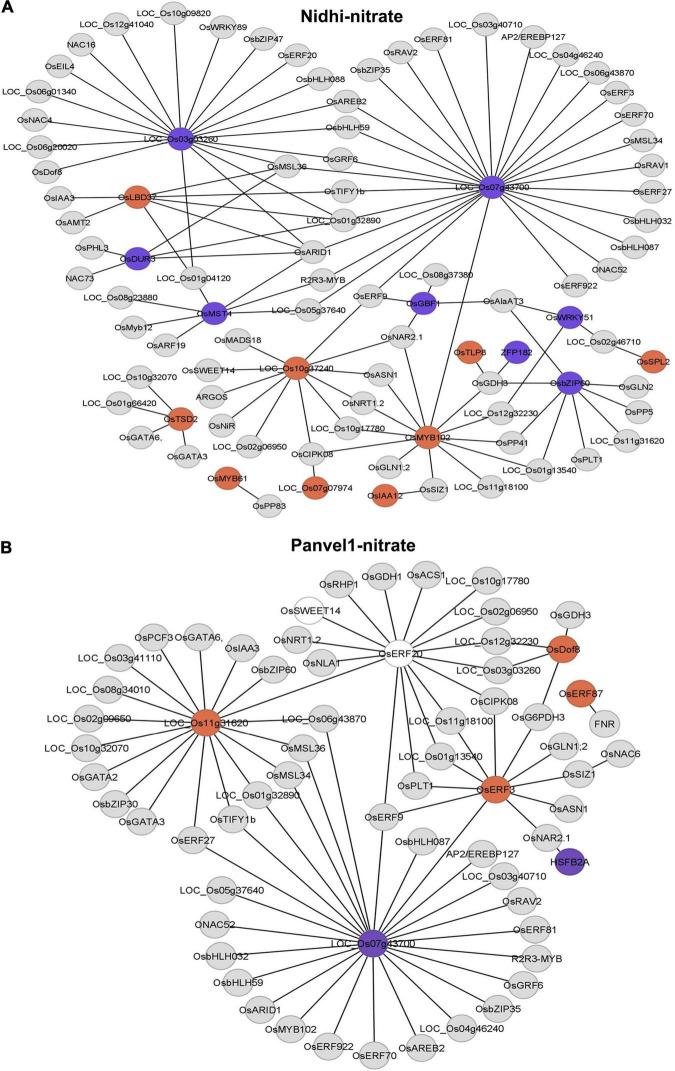 https://cdn.ncbi.nlm.nih.gov/pmc/blobs/cabf/9237547/5e5cc0576c84/fpls-13-881204-g005.jpg