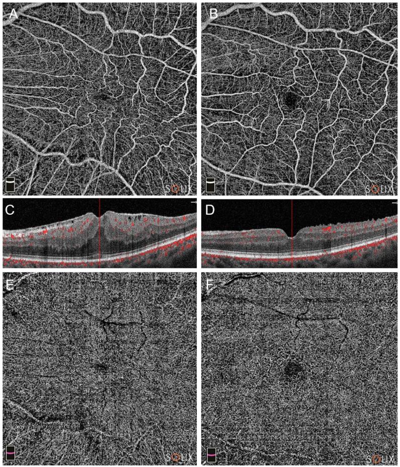 https://cdn.ncbi.nlm.nih.gov/pmc/blobs/cac0/10888329/914e5c41af4a/diagnostics-14-00411-g001.jpg