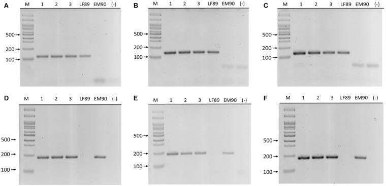 https://cdn.ncbi.nlm.nih.gov/pmc/blobs/cac0/8226252/ec7fac56affc/fmicb-12-673216-g003.jpg
