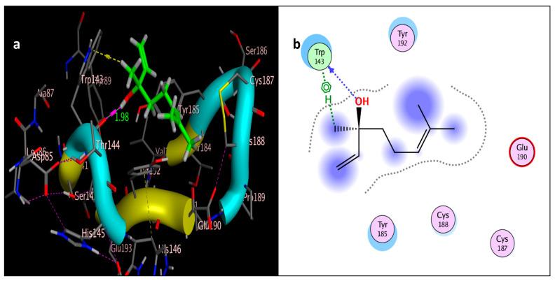 https://cdn.ncbi.nlm.nih.gov/pmc/blobs/cac1/10780757/03ae2dfde5ed/molecules-29-00271-g011.jpg