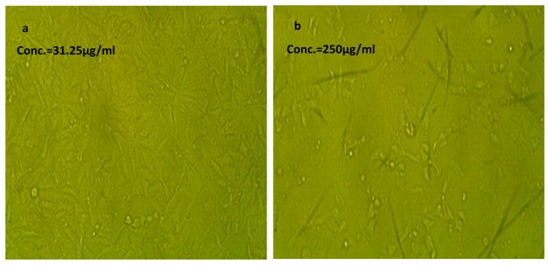 https://cdn.ncbi.nlm.nih.gov/pmc/blobs/cac1/10780757/18ad301cb49a/molecules-29-00271-g005.jpg