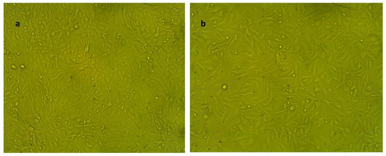 https://cdn.ncbi.nlm.nih.gov/pmc/blobs/cac1/10780757/94a3f3670979/molecules-29-00271-g007.jpg