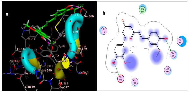https://cdn.ncbi.nlm.nih.gov/pmc/blobs/cac1/10780757/9f57ddeef145/molecules-29-00271-g009.jpg