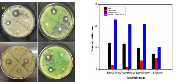 https://cdn.ncbi.nlm.nih.gov/pmc/blobs/cac1/12350943/d59d05166c93/41598_2025_92507_Fig5_HTML.jpg
