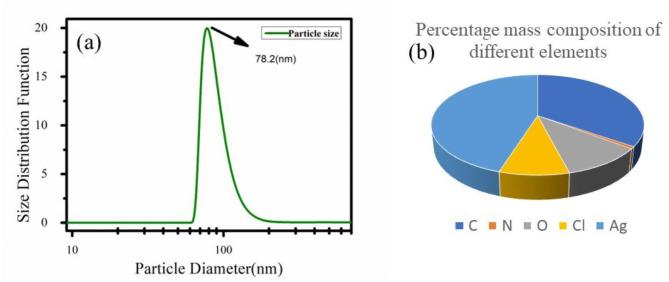 https://cdn.ncbi.nlm.nih.gov/pmc/blobs/cac1/12350943/f942dac6c570/41598_2025_92507_Fig4_HTML.jpg