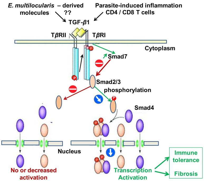 https://cdn.ncbi.nlm.nih.gov/pmc/blobs/cac1/3566151/169ba7aa2e2b/pone.0055379.g001.jpg