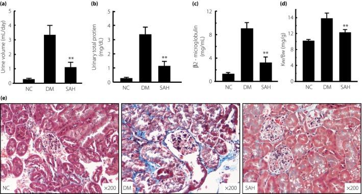 https://cdn.ncbi.nlm.nih.gov/pmc/blobs/cac3/5754517/9c3525d5fde6/JDI-9-83-g004.jpg