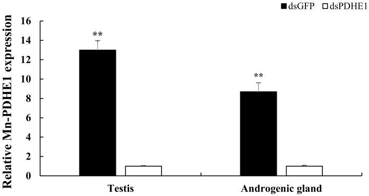 https://cdn.ncbi.nlm.nih.gov/pmc/blobs/cac9/10856083/0863d2746efa/ijms-25-01940-g001.jpg
