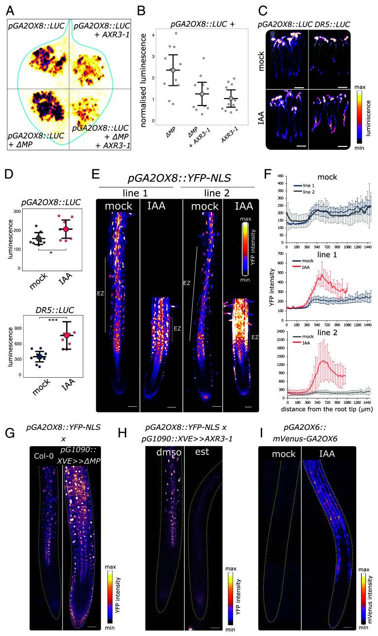 https://cdn.ncbi.nlm.nih.gov/pmc/blobs/caca/12318176/af2f8b4ab81d/pnas.2425574122fig02.jpg