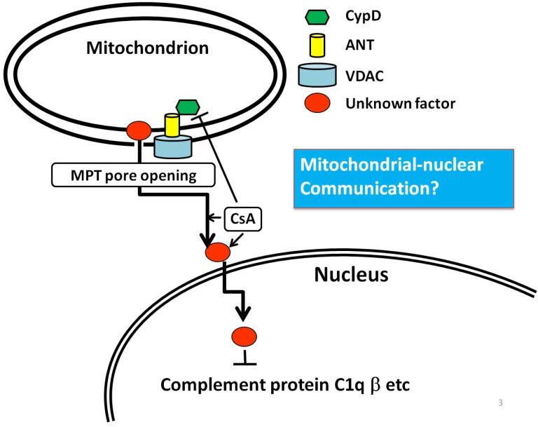https://cdn.ncbi.nlm.nih.gov/pmc/blobs/caca/4061870/e4cfa1eea672/brainsci-03-01325-g001.jpg