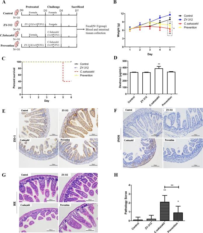 https://cdn.ncbi.nlm.nih.gov/pmc/blobs/caca/6687943/d0481f681cff/mSystems.00305-19-f0002.jpg