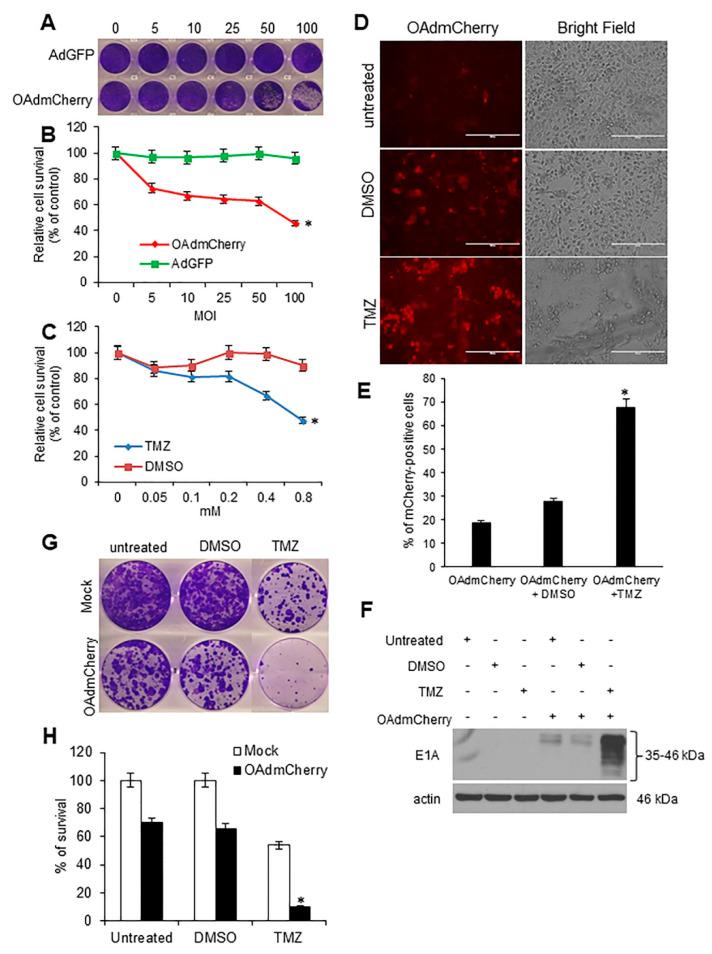 https://cdn.ncbi.nlm.nih.gov/pmc/blobs/cacb/5977117/104ad5bdb77b/cancers-10-00144-g006.jpg