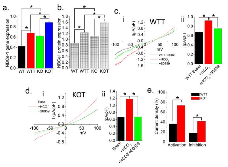 https://cdn.ncbi.nlm.nih.gov/pmc/blobs/cacc/8002449/9dec2835f4fd/ijms-22-03050-g003.jpg