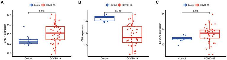 https://cdn.ncbi.nlm.nih.gov/pmc/blobs/cacd/10203236/04fe7b8caab4/fmicb-14-1191004-g009.jpg