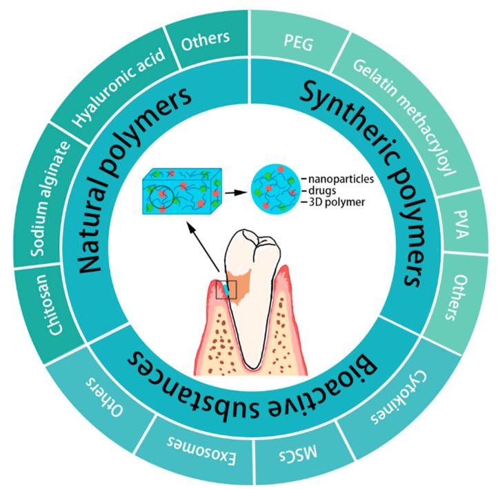 https://cdn.ncbi.nlm.nih.gov/pmc/blobs/cacd/9602018/0f1631703408/gels-08-00624-g001.jpg