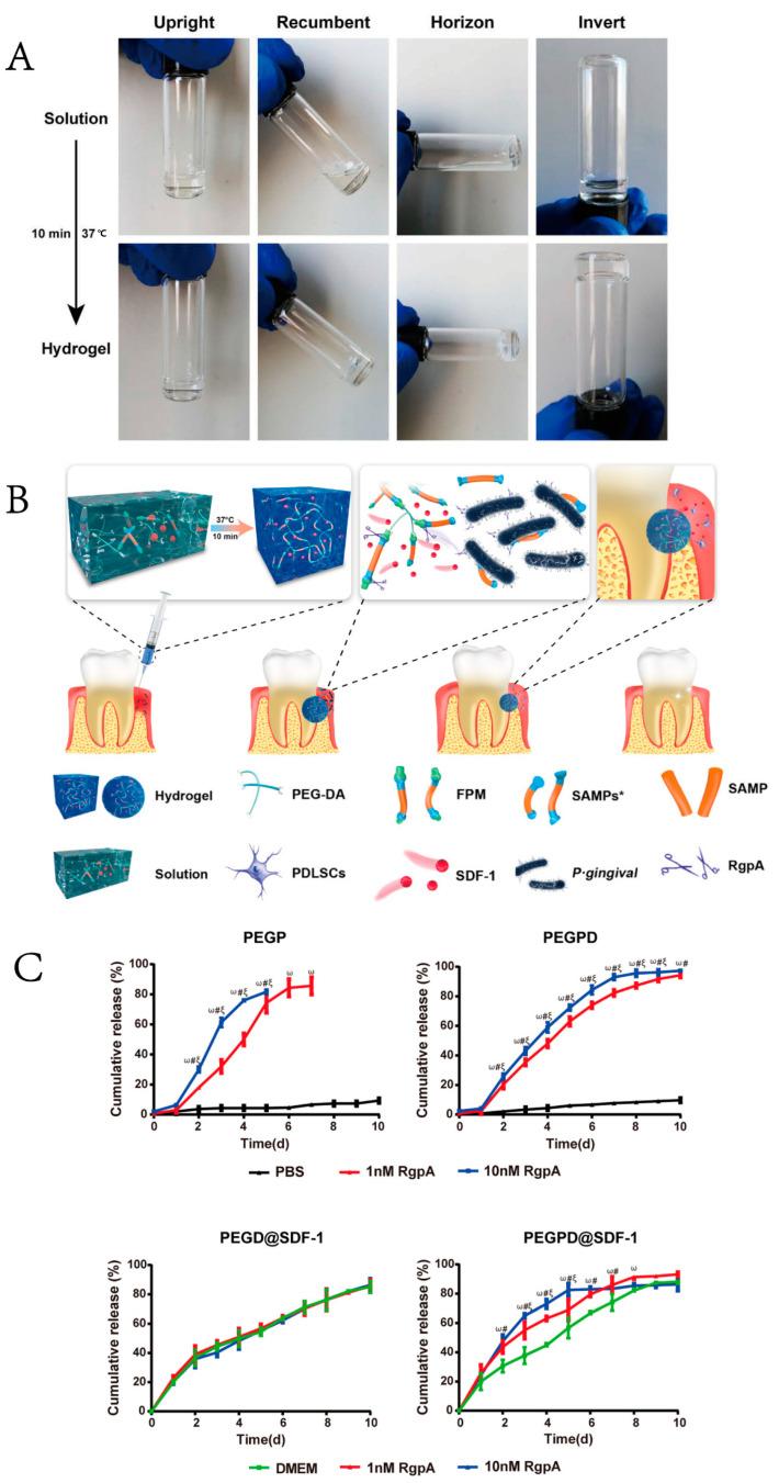 https://cdn.ncbi.nlm.nih.gov/pmc/blobs/cacd/9602018/cb3c705daa4e/gels-08-00624-g003.jpg