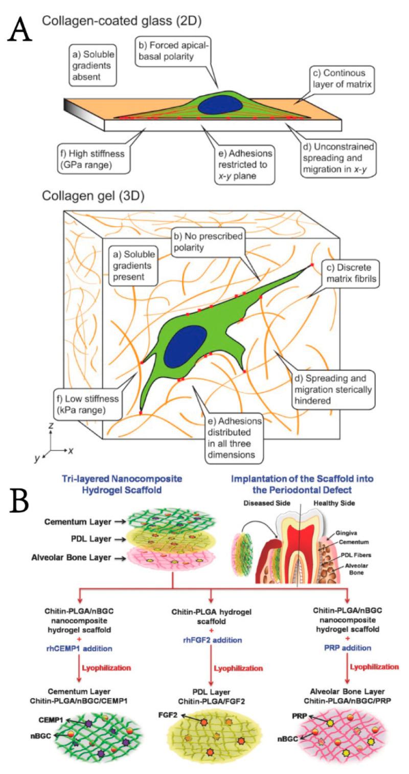 https://cdn.ncbi.nlm.nih.gov/pmc/blobs/cacd/9602018/e5272329d917/gels-08-00624-g002.jpg